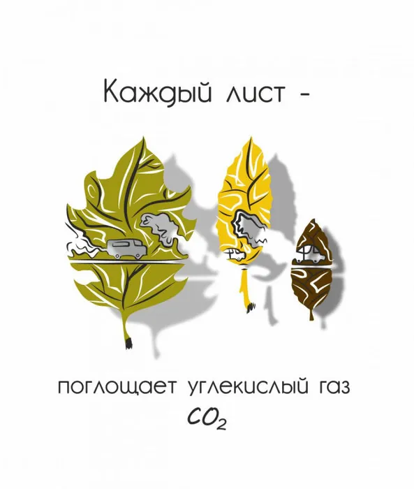 Protasova_Elena_15_let.jpeg